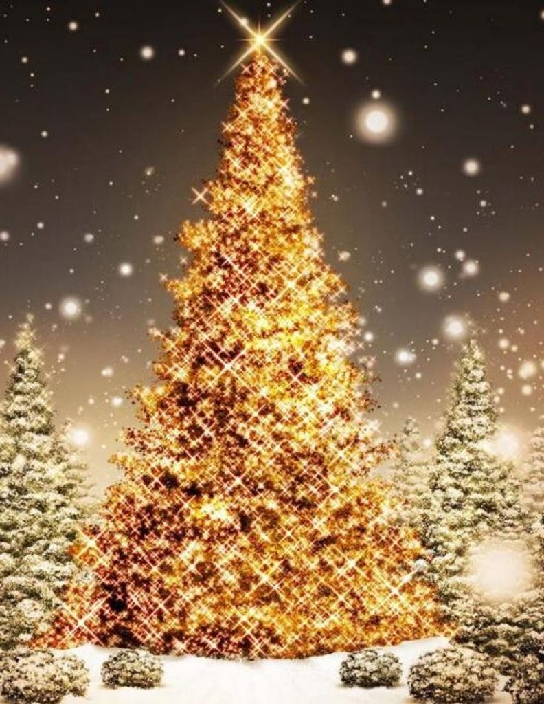 Christmas  Memorial Program Profile Photo