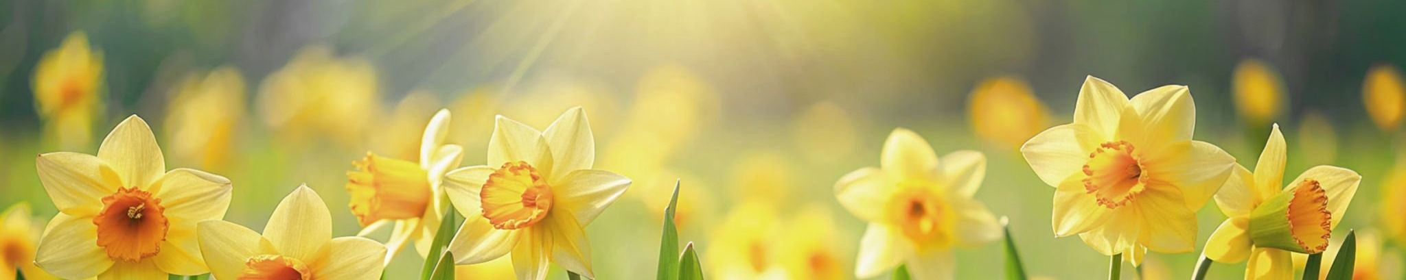 Cover for Nancy Margaret Casner's Obituary