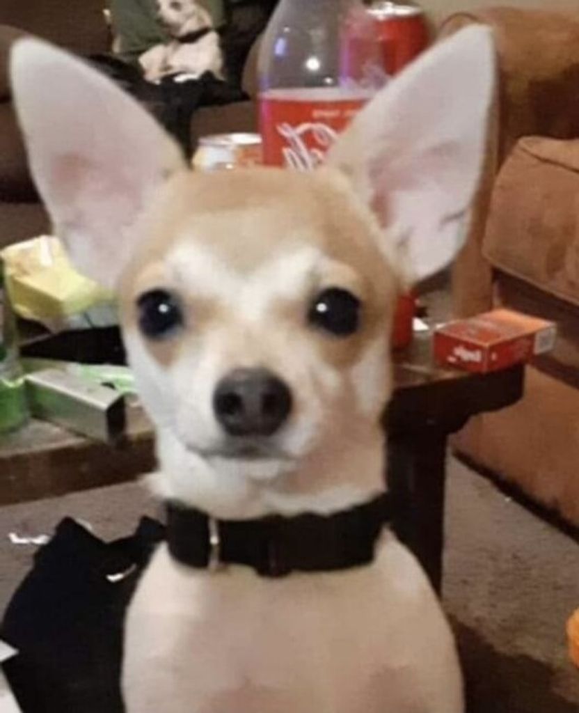 Charlie Bear Glaspie Profile Photo