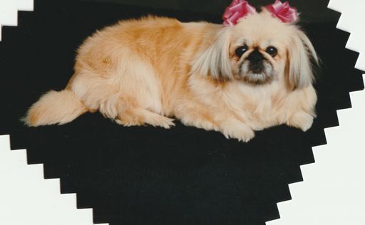 Dana L. Godfrey Baker photo gallery thumbnail 6 of 11