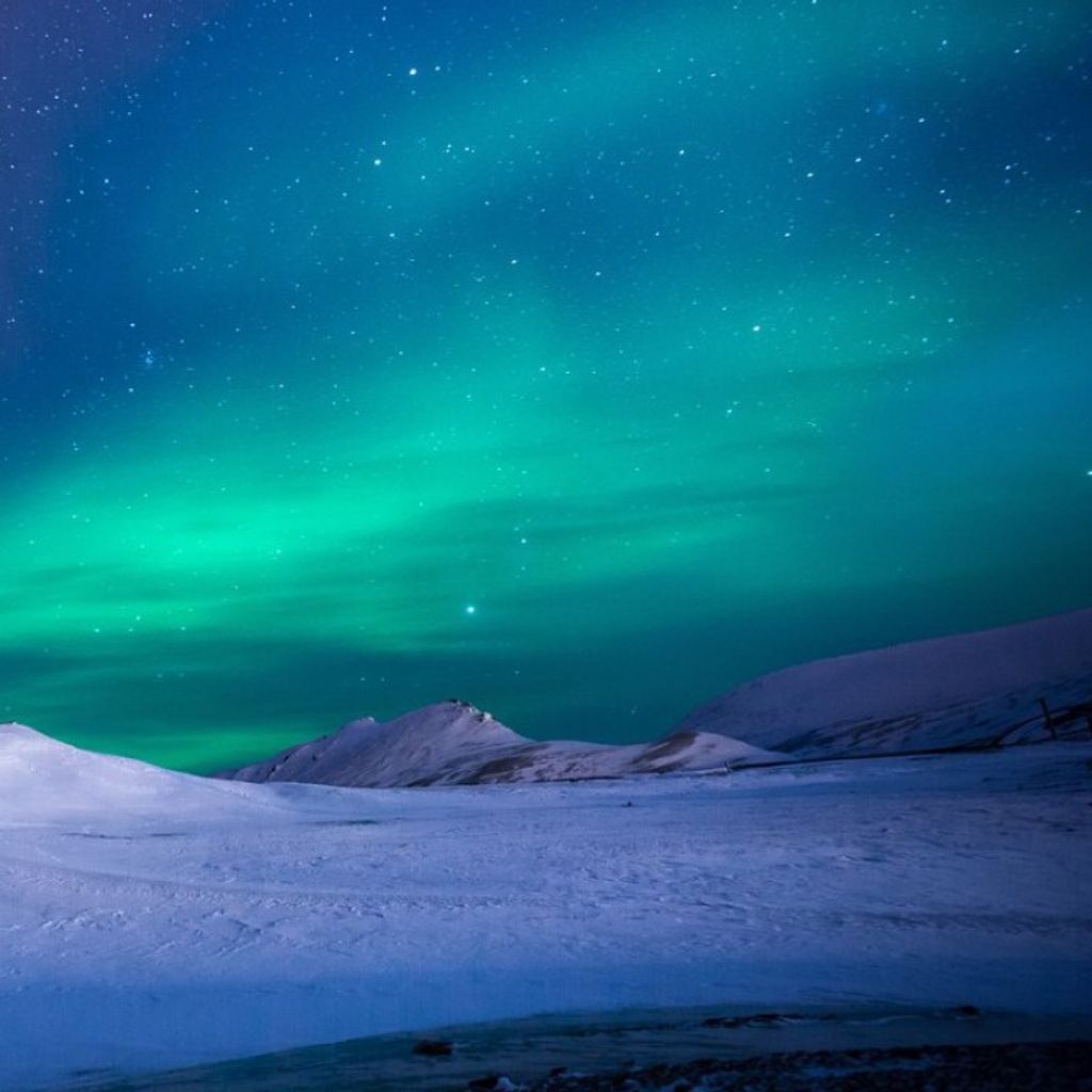 Carlos Alberto Suliveras Fontanez Profile Photo