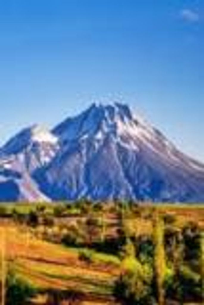 Sam  Emmit Pierce Profile Photo