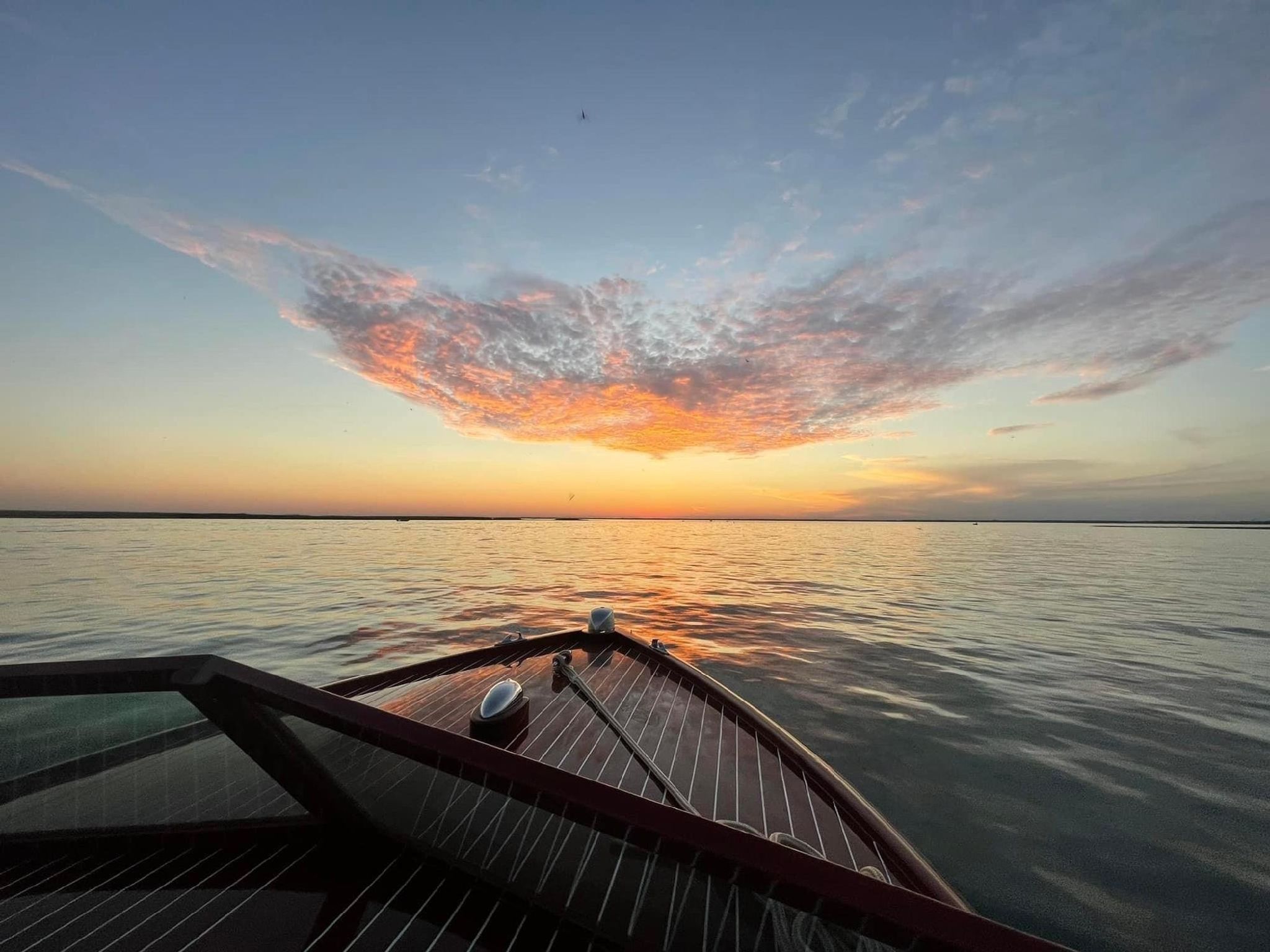 Cover for Aline Irvine's Obituary