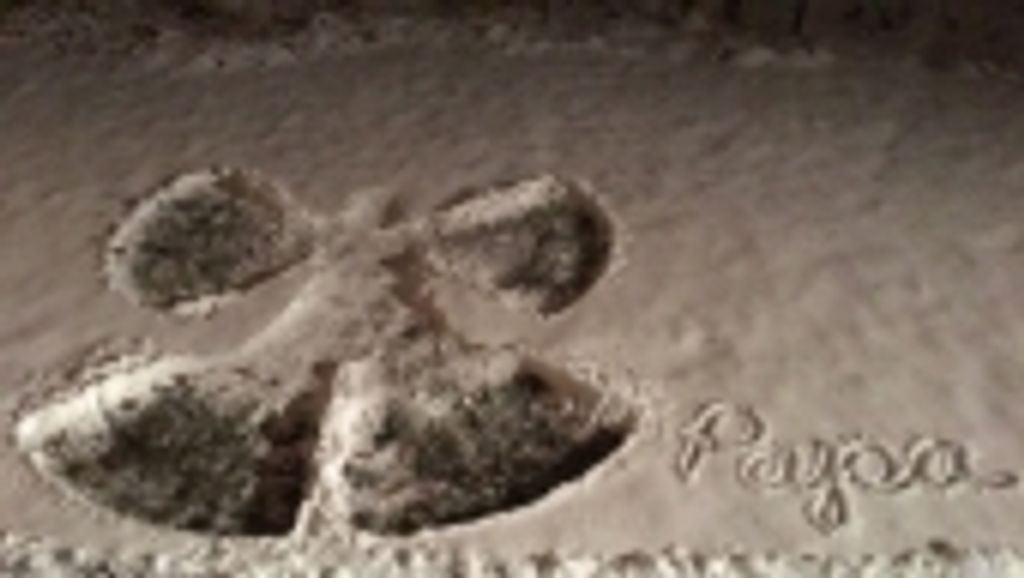 Gregory J.  Wernsman