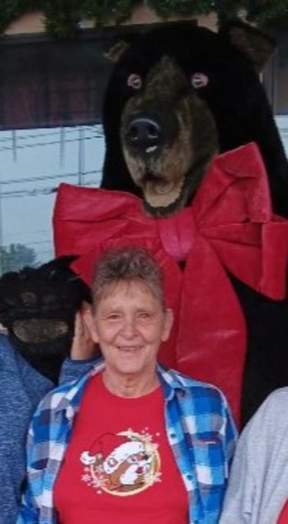 Carol "Jeannie" Jeanette Mitchell Quesenberry Profile Photo