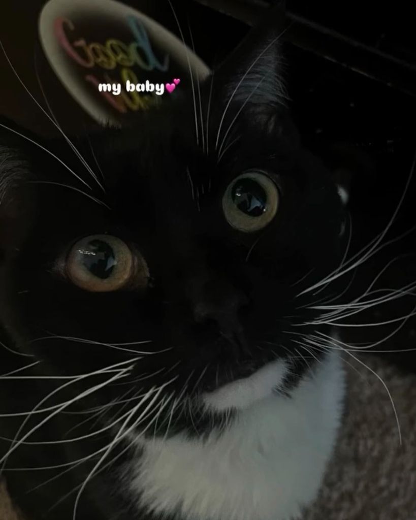 Kitty Maduzia Profile Photo