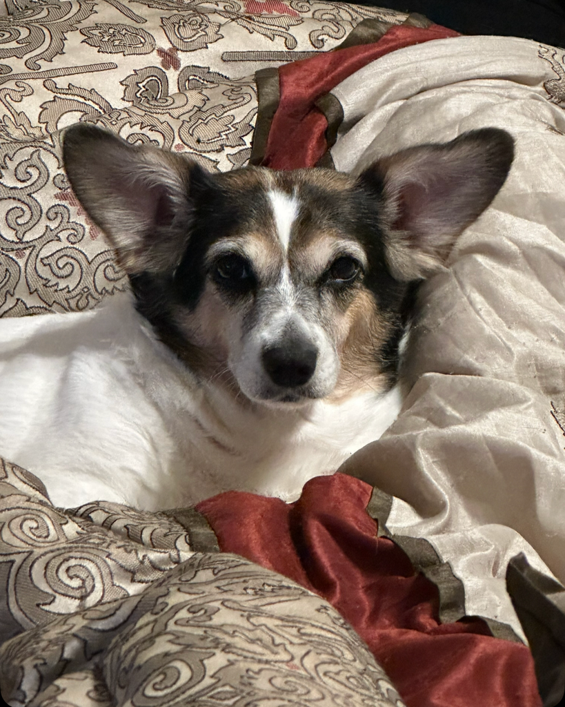 Riley Rae Strickland Profile Photo