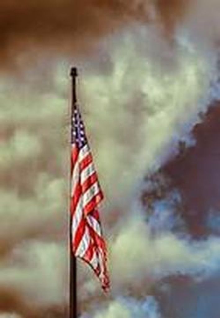 William "Bill" John Rief Profile Photo