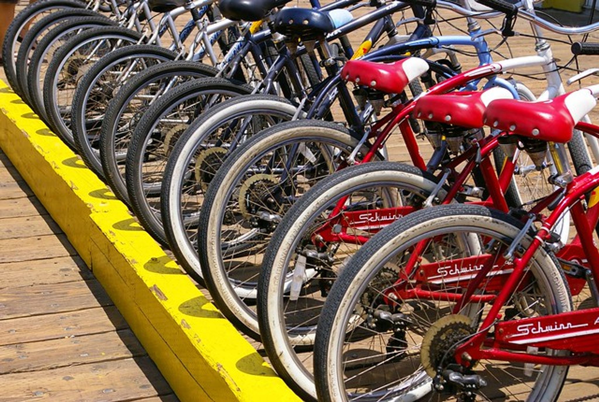 Cover for Lisa Chiang's Obituary