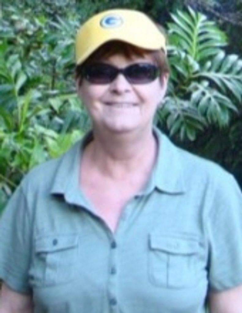 Debra K Koch