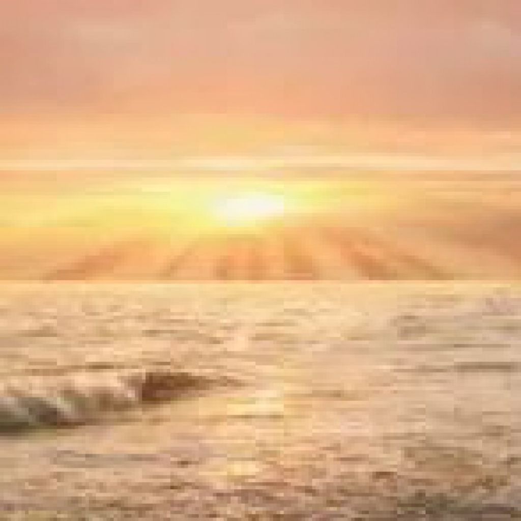 Scott Otis Kleaver Profile Photo