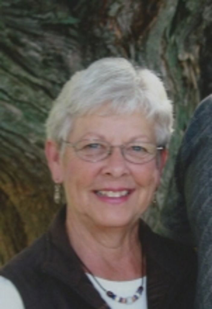 Beverly Hoffmann Profile Photo