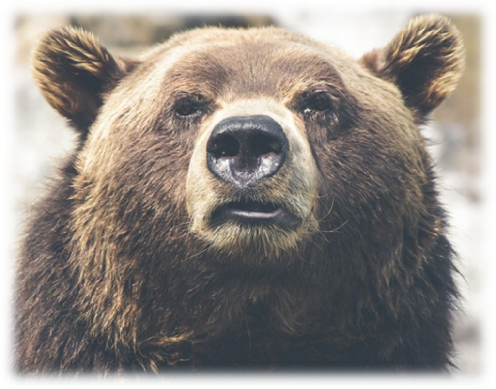 Dancingking Whiteman Sr. Profile Photo