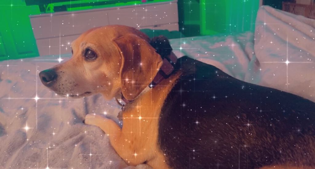 Gracie May Weatherington Profile Photo