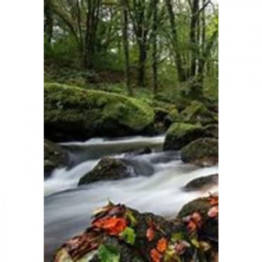 Richard T. Hoffman Profile Photo