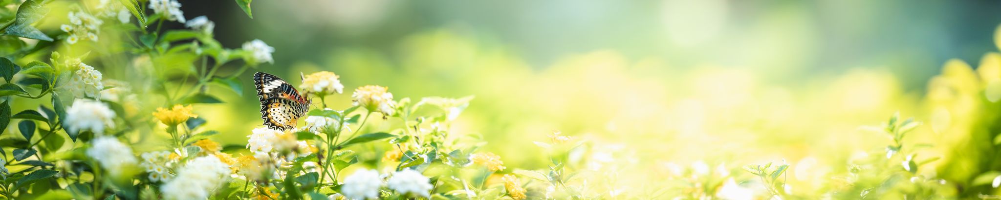 Cover photo for Beverly Jean Maksymovich's Obituary