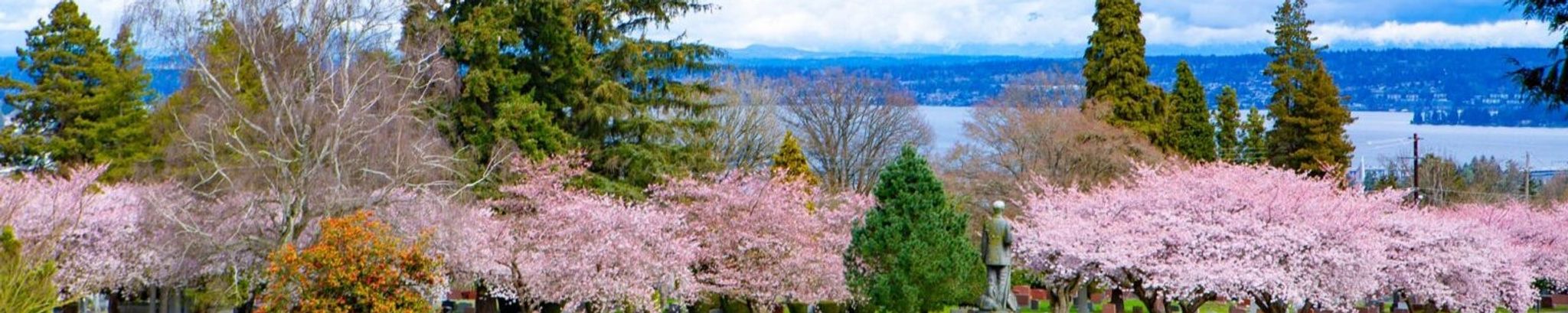Cover photo for William E. Woertendyke's Obituary