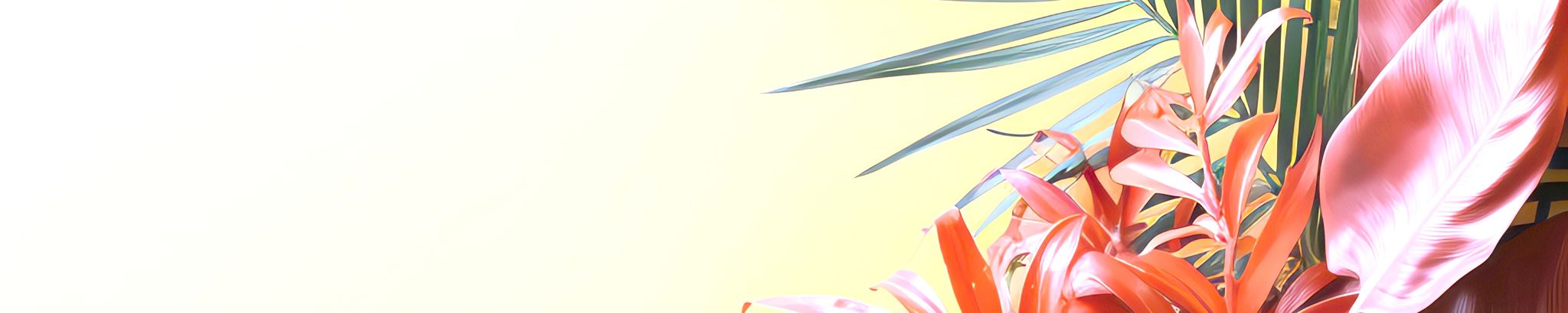 Cover for Barbara Pacheco's Obituary