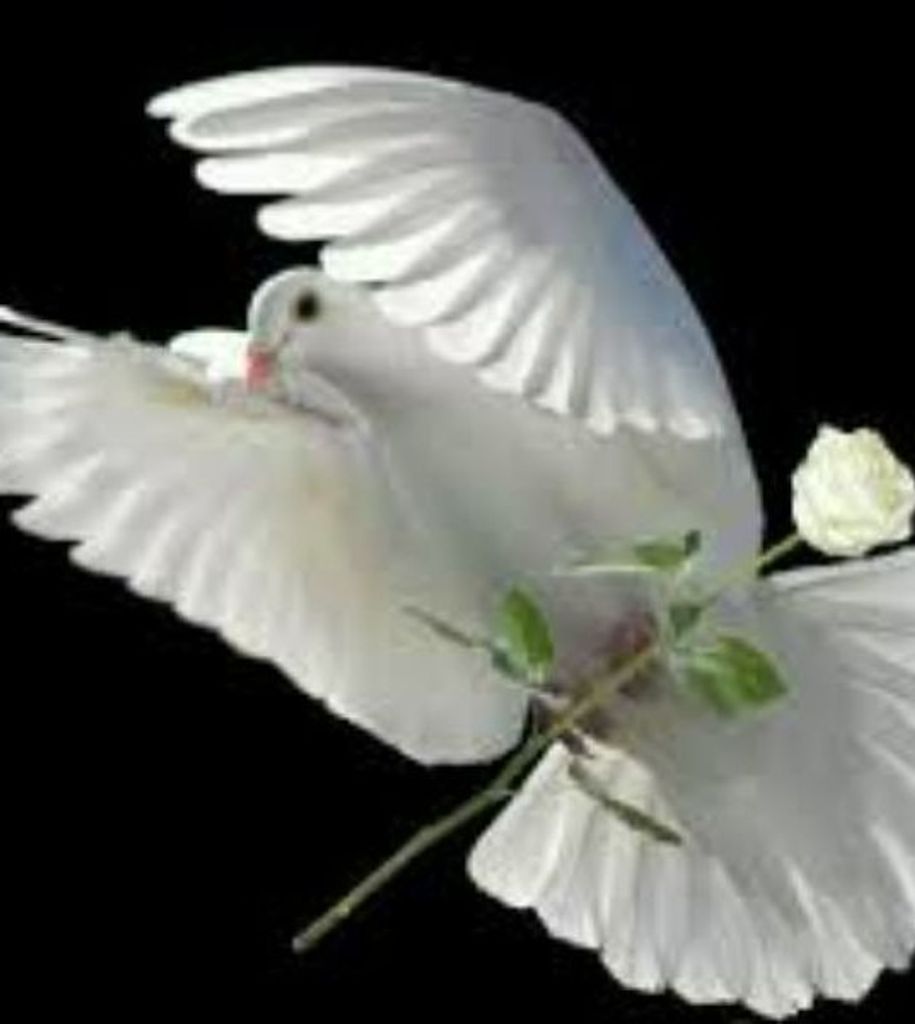 Jayme R. Campbell   68