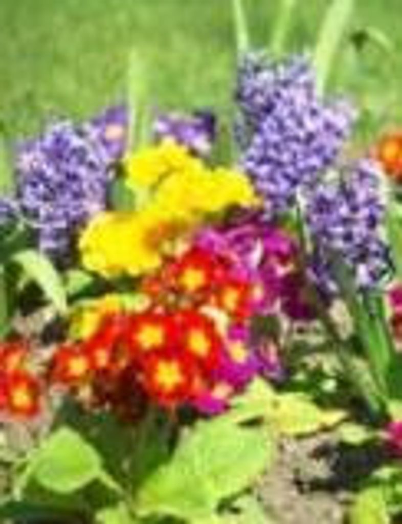 Dolores M. (Reindl)  Coppus