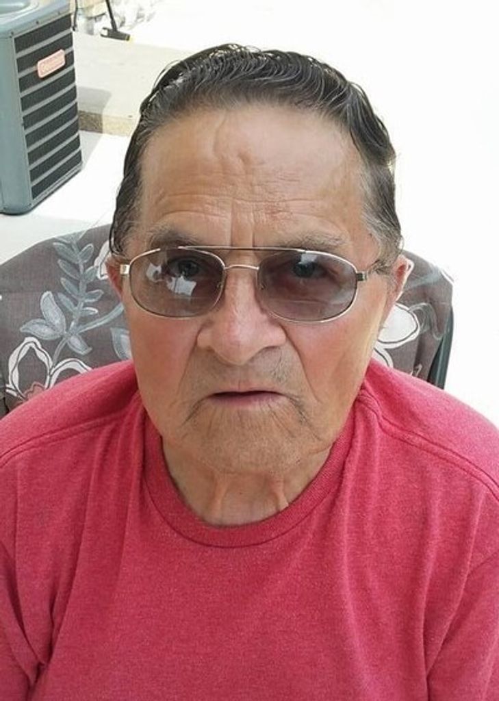 Dennis L. Vesely, Sr. Profile Photo