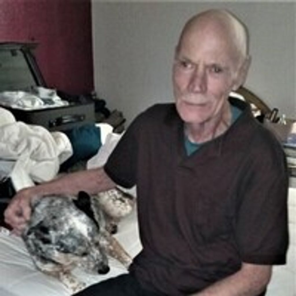 Michael Stein Profile Photo