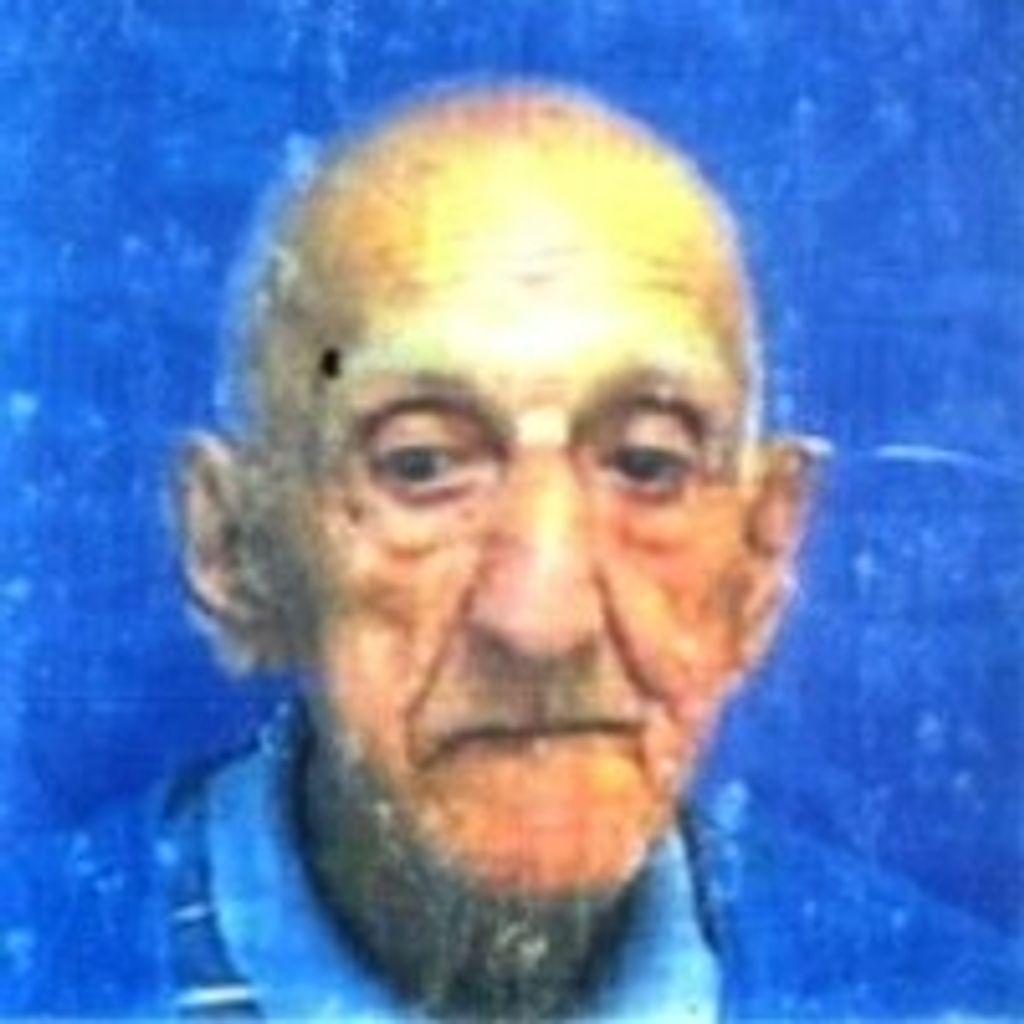 Salvatore T. Nolfi