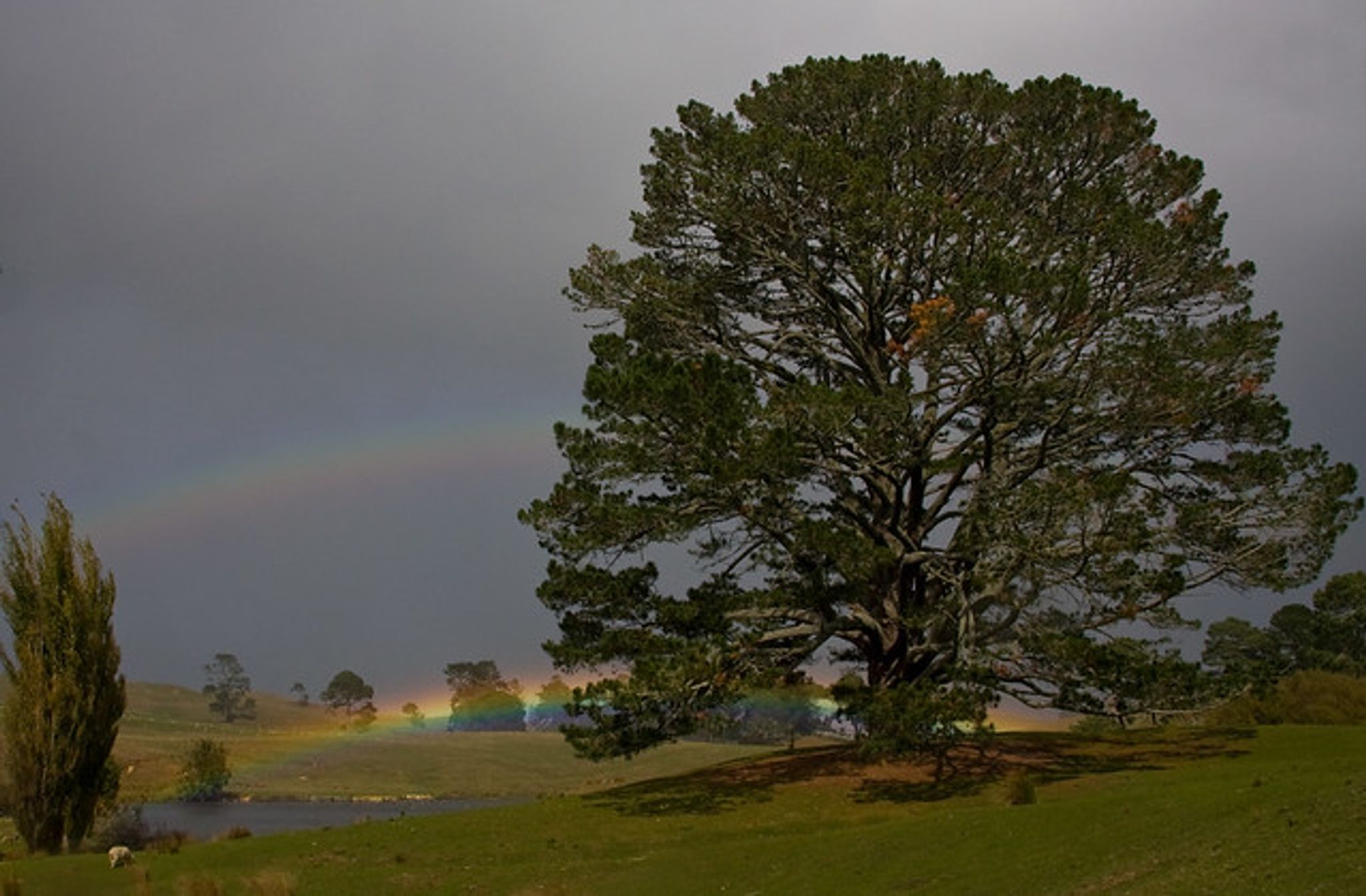Cover photo for Lucinda "Cindy" Lee Duncan's Obituary