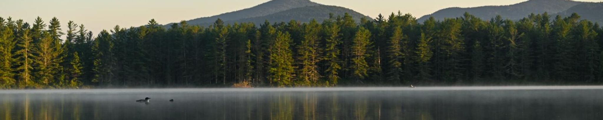 Cover photo for David Smith's Obituary