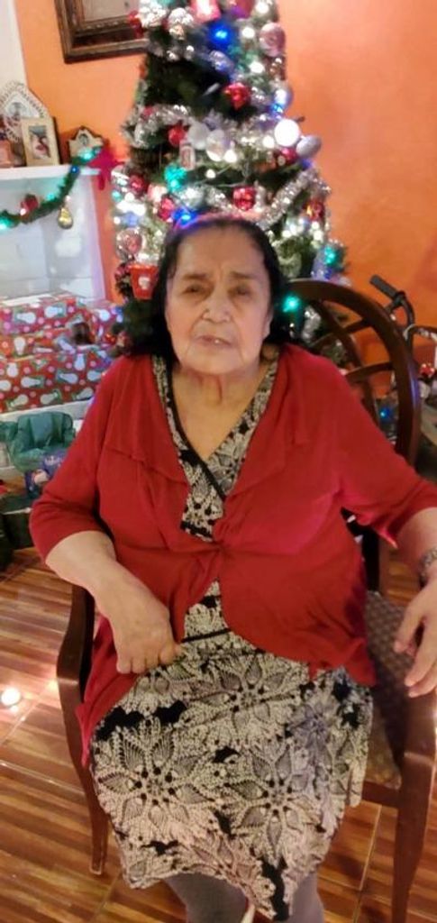 Guadalupe Bustamante