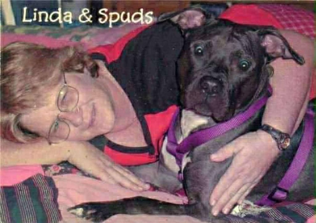 Linda L. Davidson Profile Photo