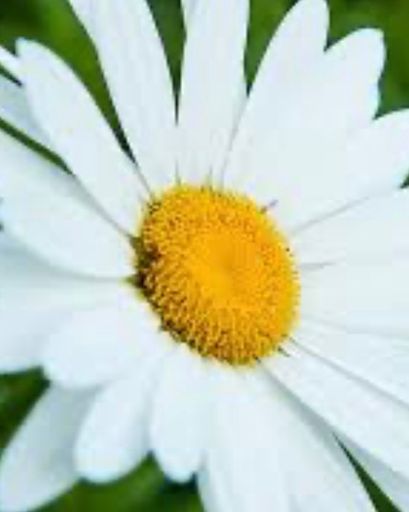 Jacqueline Lee Kaylor's obituary image