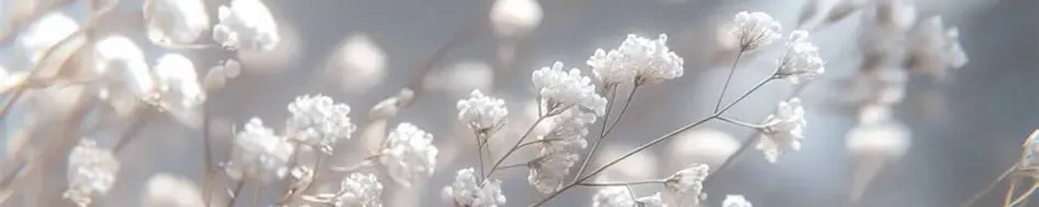 Cover photo for Betty West's Obituary
