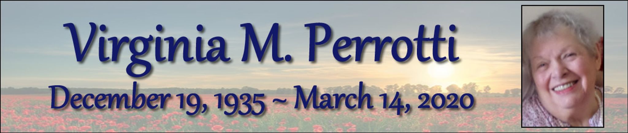 Cover photo for Virginia Perrotti's Obituary