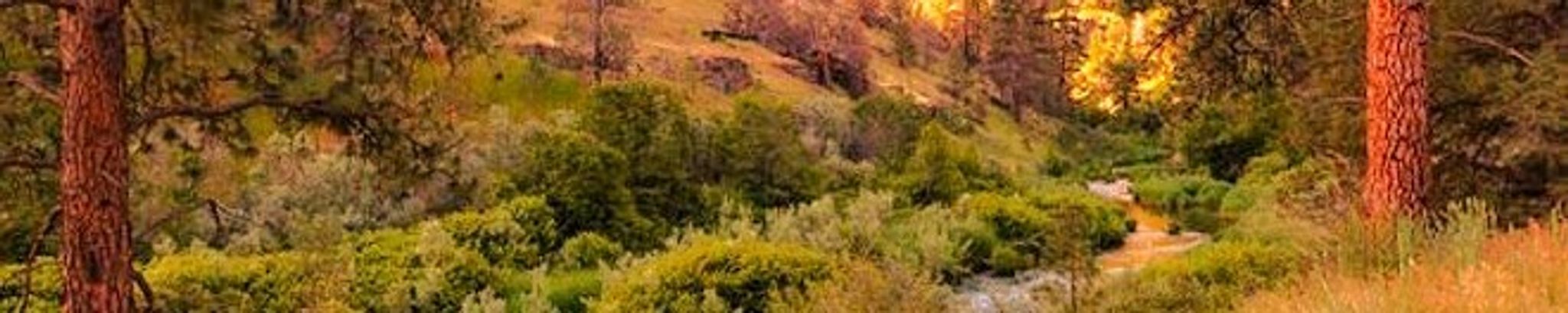 Cover for Angilena "Ann" Totten's Obituary