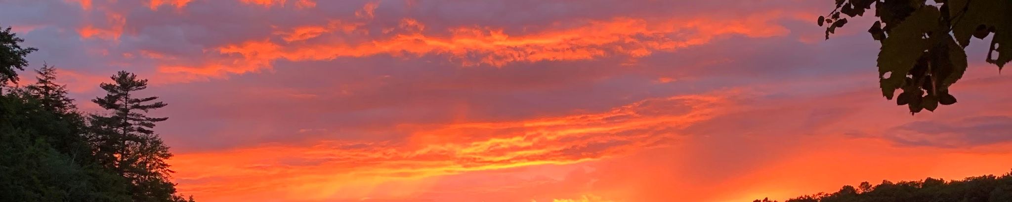 Cover photo for Nicole Lee Laus's Obituary