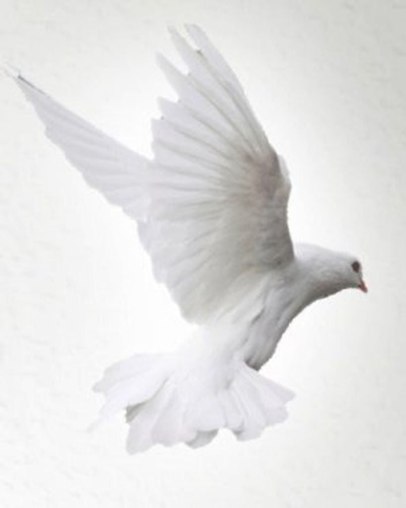 Grace Chamblee Profile Photo