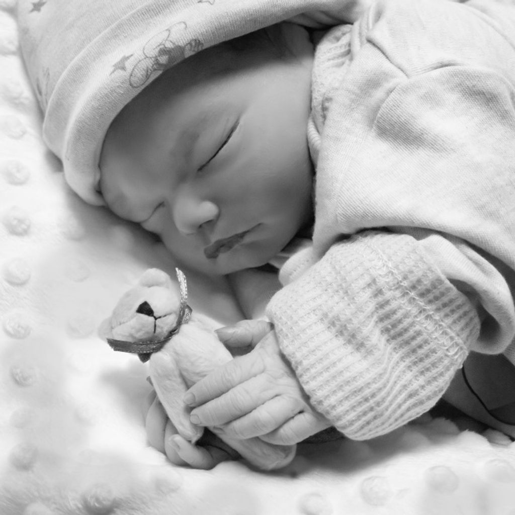 Mateo Munoz-Rocha