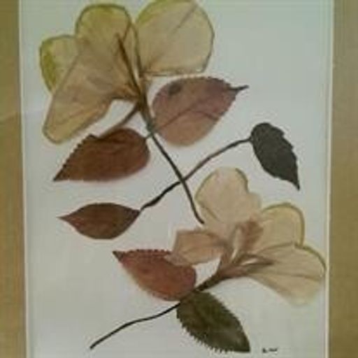 Linda Lucile Williamson Profile Photo