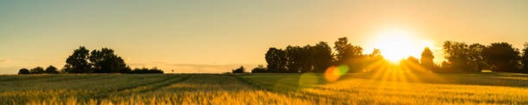 Cover for Mark Grady Riddick's Obituary