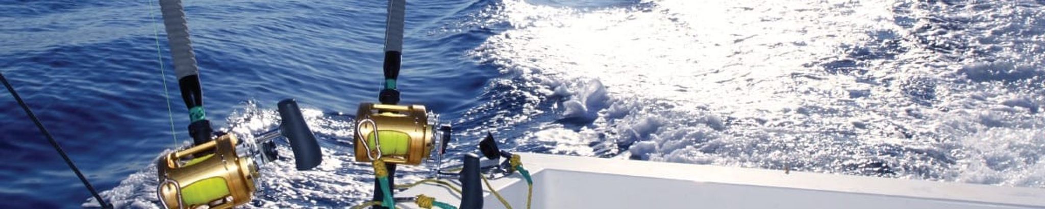 Cover for Daniel Howard Mork's Obituary