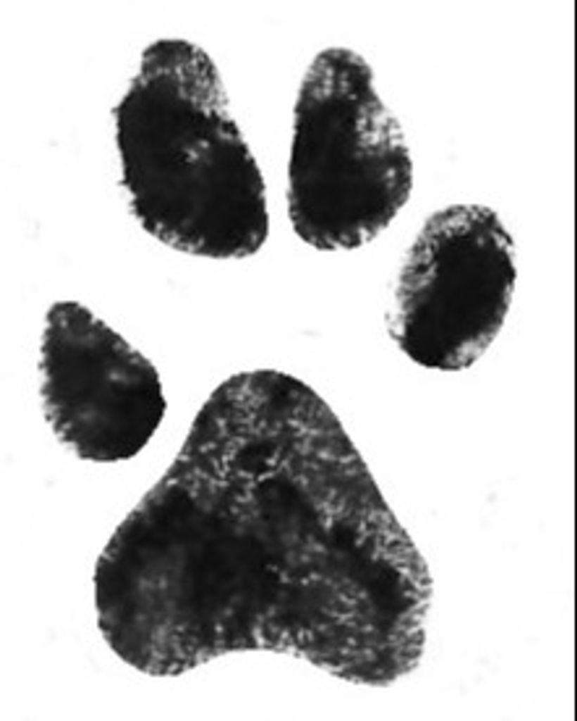 Princess Bost Profile Photo