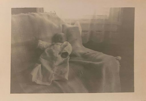 Ginger Beck Dimmett Profile Photo