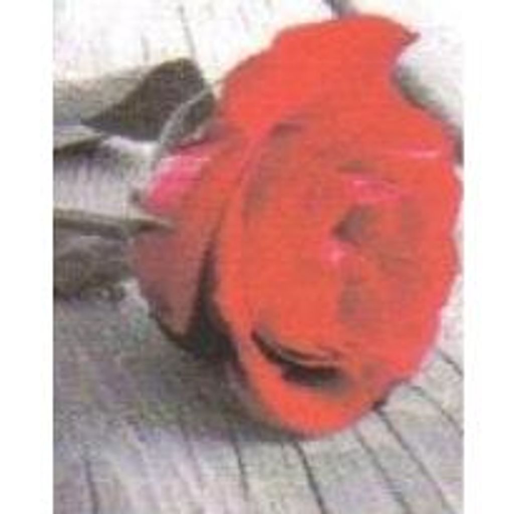 Ray Carlton