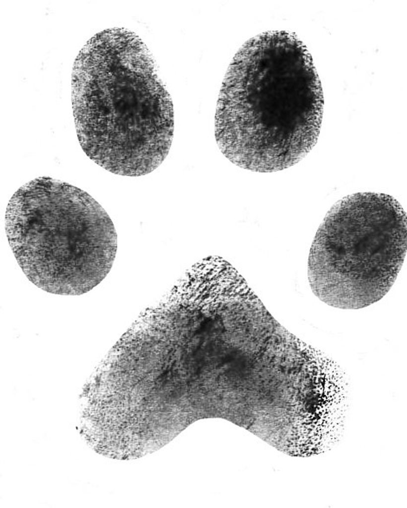 Skylar Conley Profile Photo