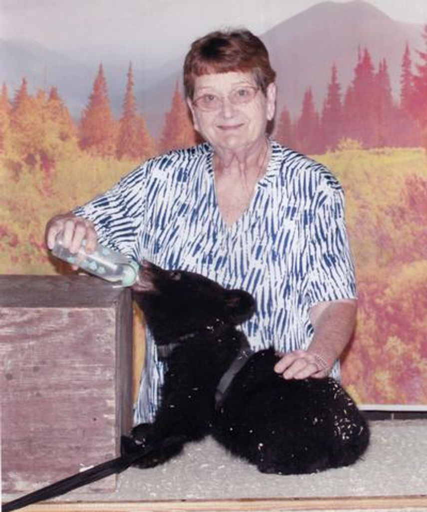 Cynthia Voit Profile Photo