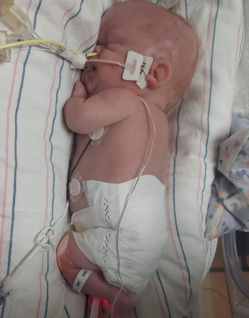 Karrson Lane Neal