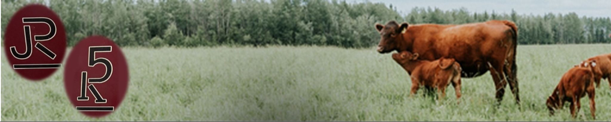 Cover for Jose Efrain "Joe" Ruiz III's Obituary