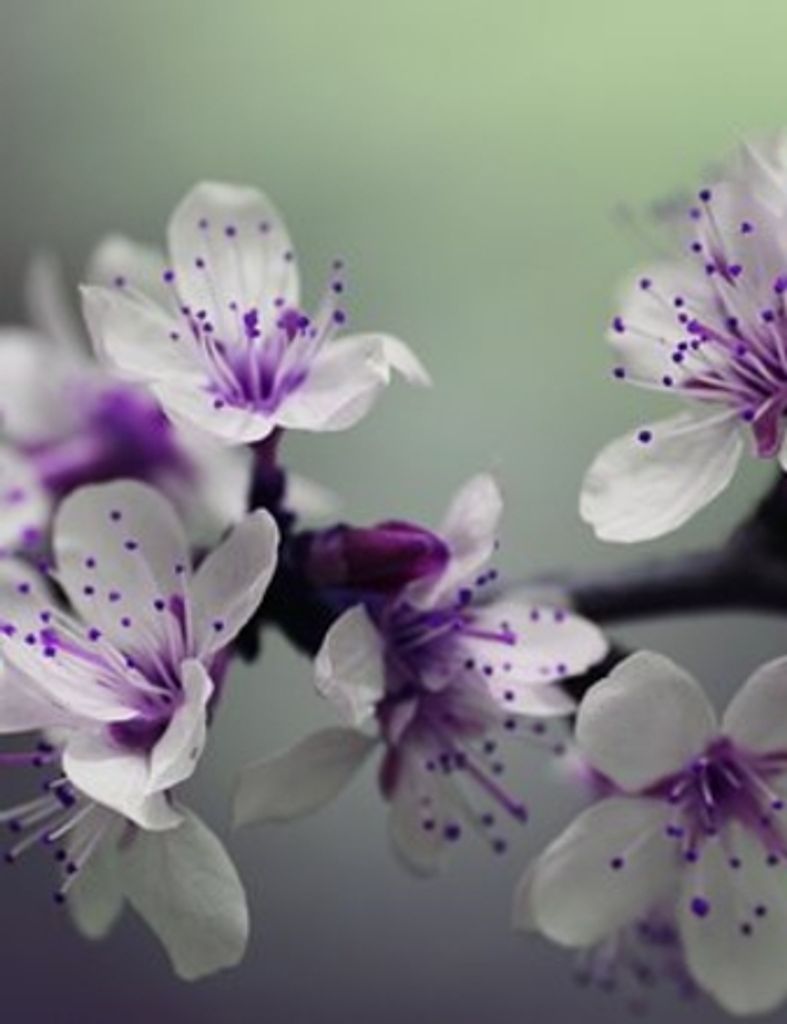 Roberta Margot Gordon