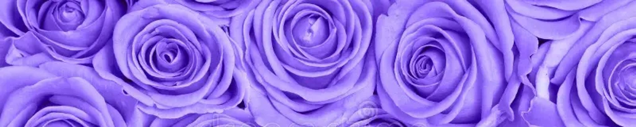 Cover photo for Elnora “Sis” Severs's Obituary